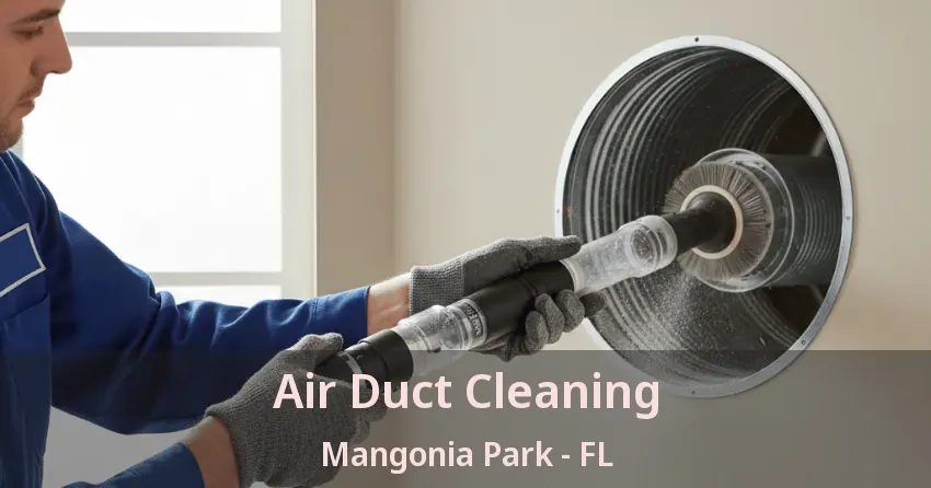 Air Duct Cleaning Mangonia Park - FL Air Duct Cleaning Mangonia Park - FL